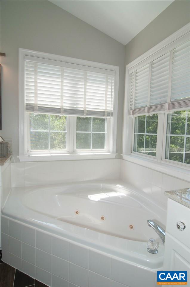 2889 Chimney Spring Charlottesville, VA 22911 - Photo 32 of 50 Gallery Image 32