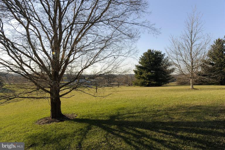 4475 Linthicum Road Dayton, MD 21036 - Photo 14 of 18 Backyard