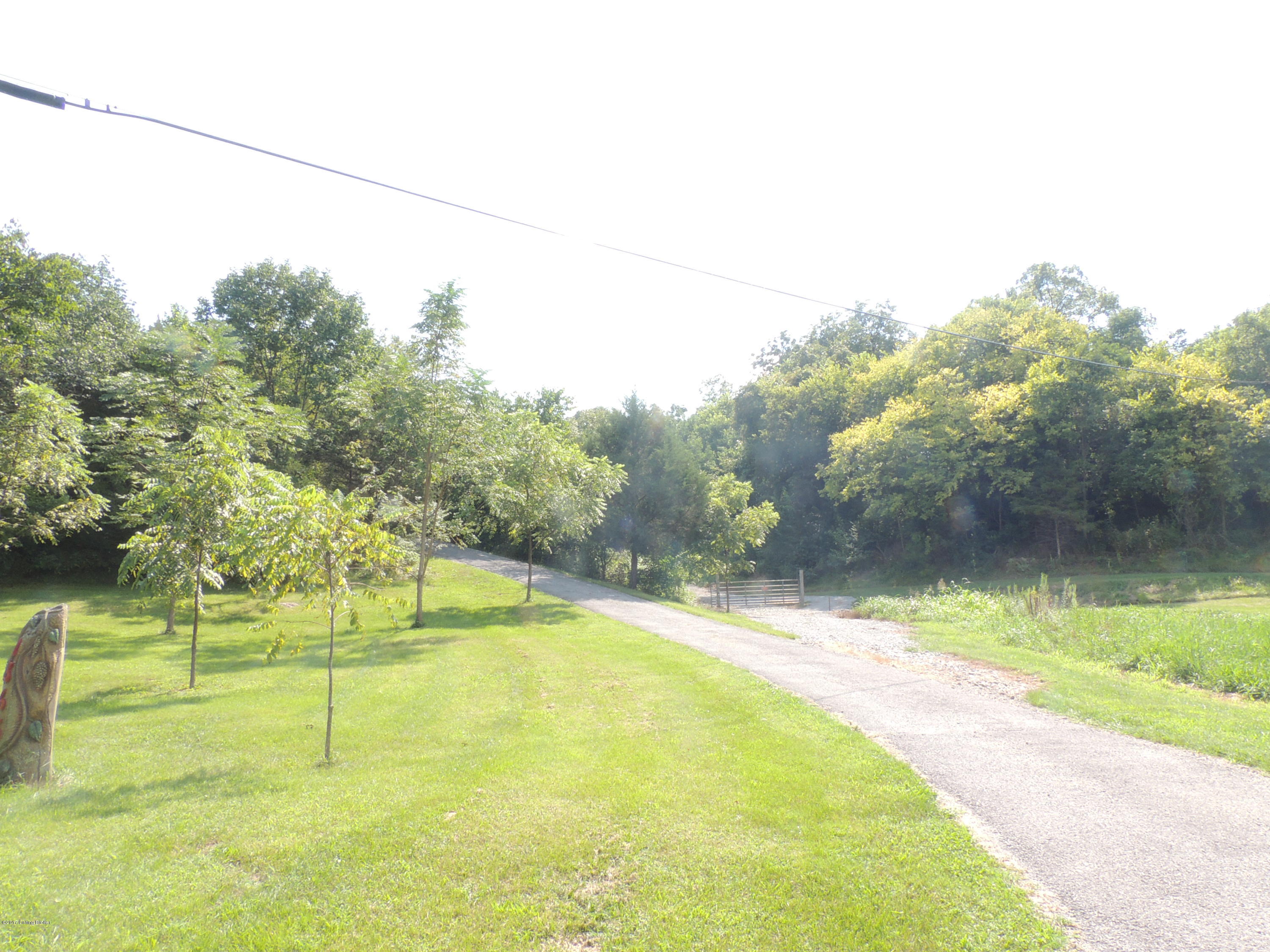 1365 Lenore Road Coxs Creek, KY 40013 - Photo 3 of 35 Drive