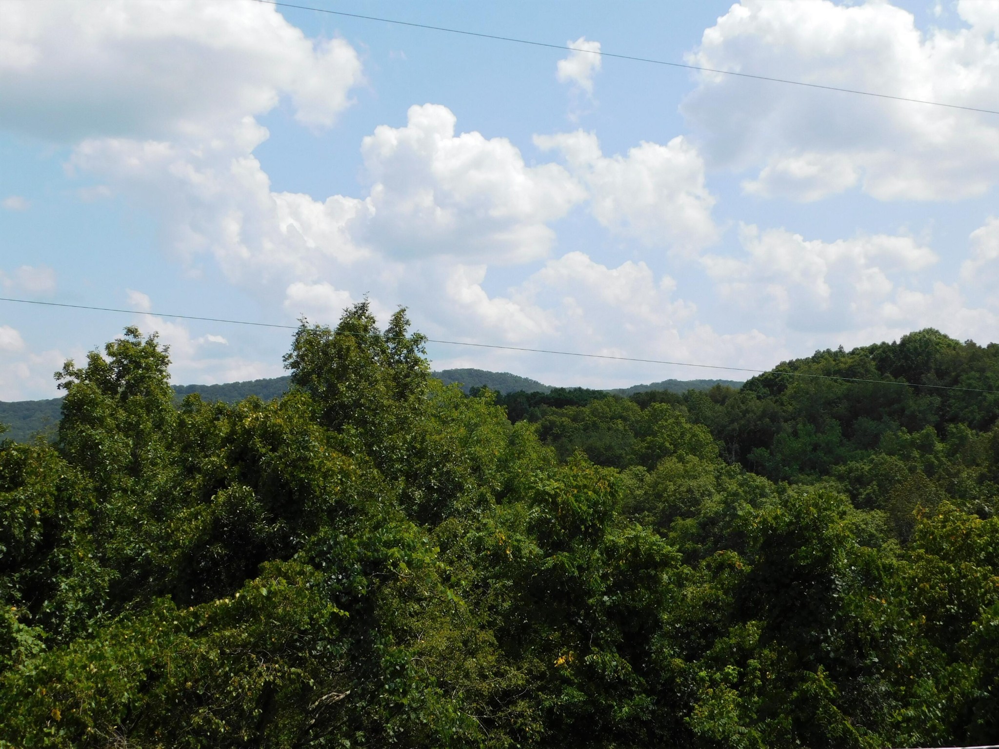 1804 Lundy Road Knoxville, TN 37920 - Photo 16 of 16 Gallery Image 16