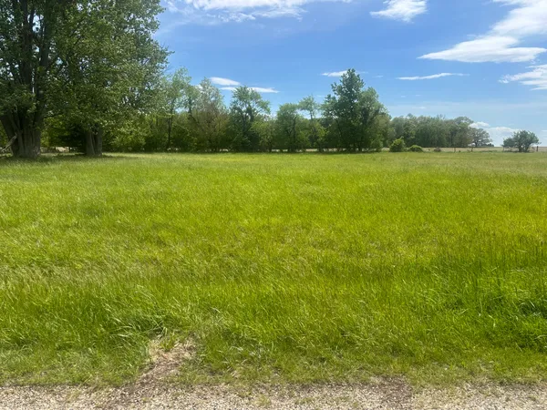 a view of a green yard with a house in the background