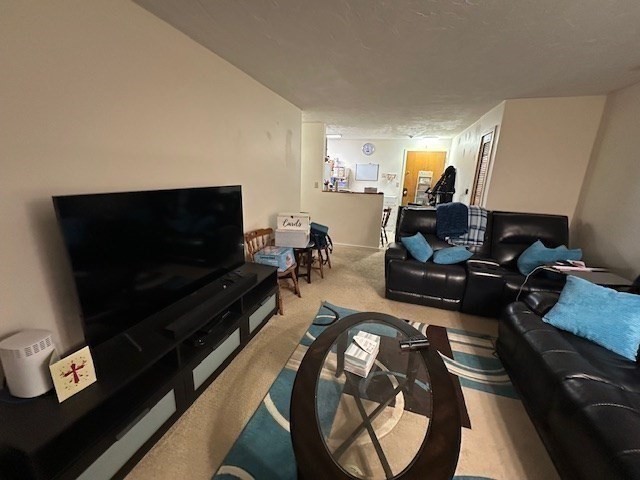189 Littleton Road, Unit 15 Chelmsford, MA 01824 - Photo 8 of 16