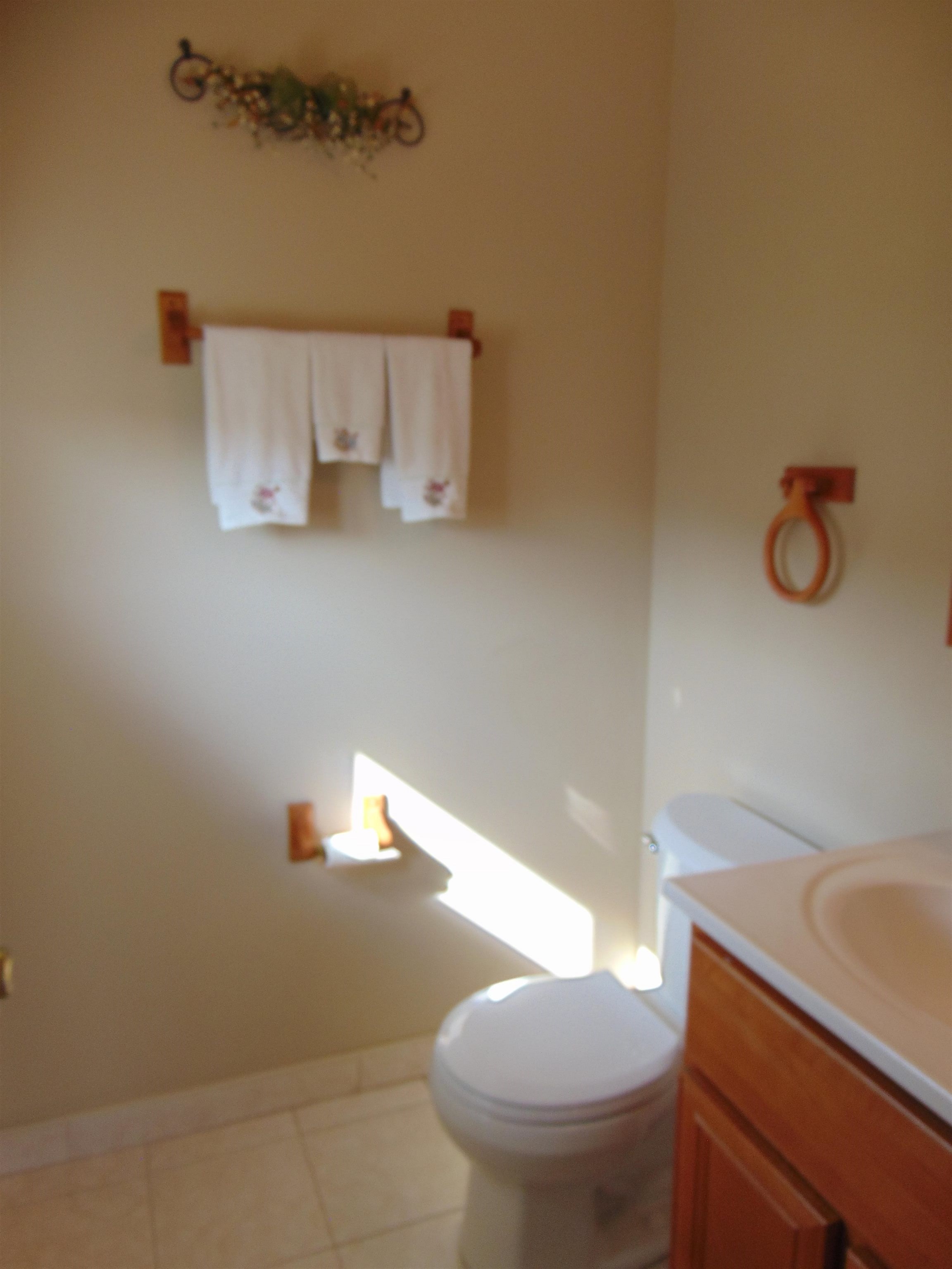 645 Sable Avenue Addison, IL 60101 - Photo 14 of 33 a bathroom with a toilet and a sink