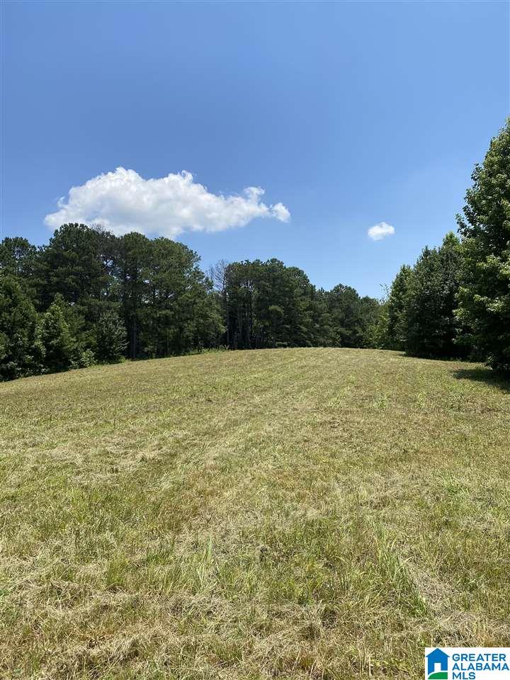 0 Runway Drive, Unit 1 Hayden, AL 35079 - Photo 6 of 9