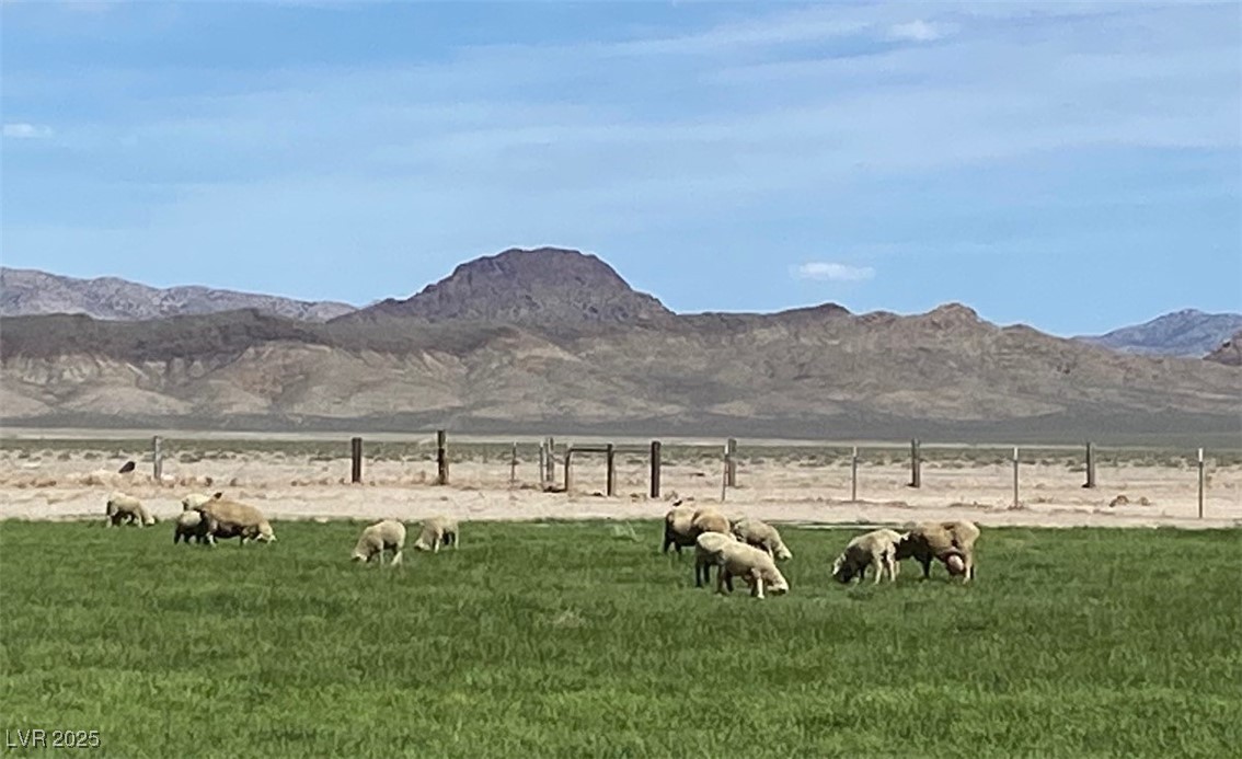 1314 Fire Station Road Ely, NV 89301 - Photo 12 of 35 View of mountain background with rural landscape