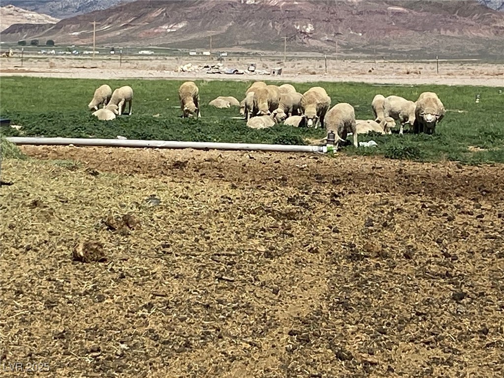 1314 Fire Station Road Ely, NV 89301 - Photo 5 of 35