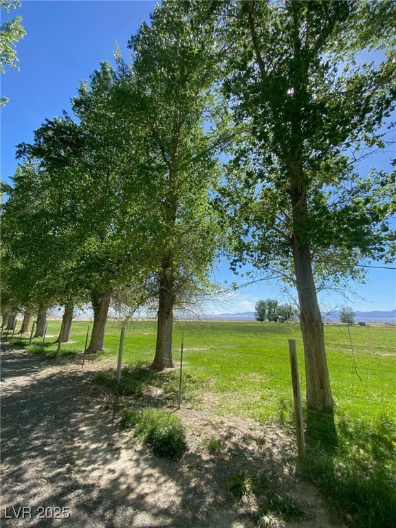 1314 Fire Station Road Ely, NV 89301 - Photo 7 of 35 View of green lawn