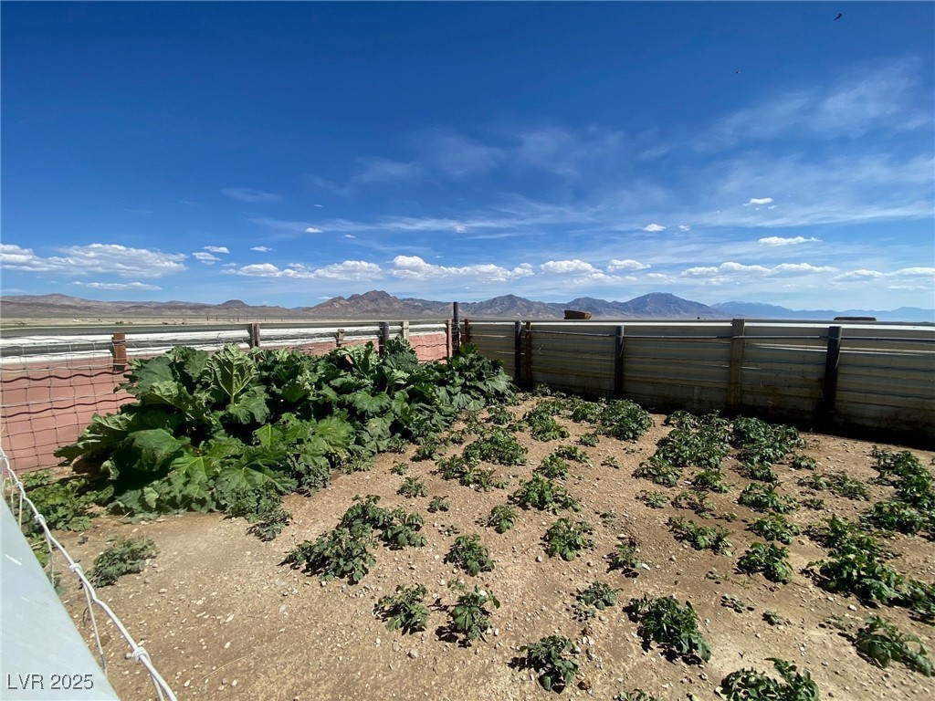 1314 Fire Station Road Ely, NV 89301 - Photo 9 of 35 Garden
