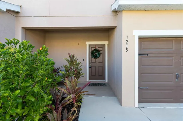 a potted plant in front of a door
