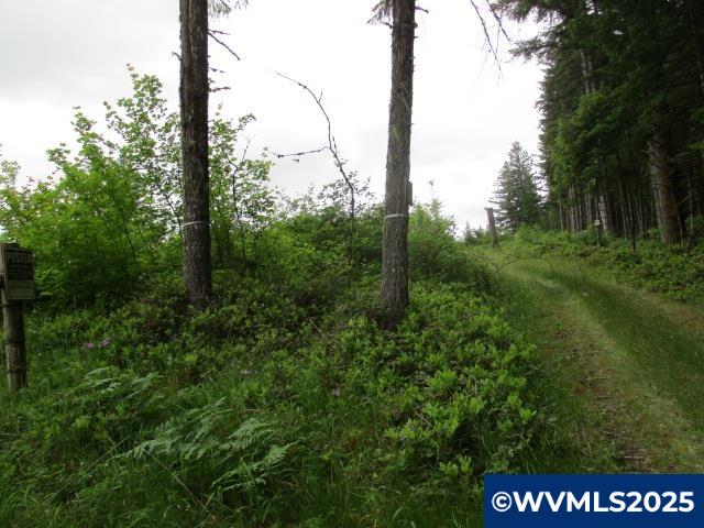 0 Gruber South Road Estacada, OR 97023 - Photo 2 of 30
