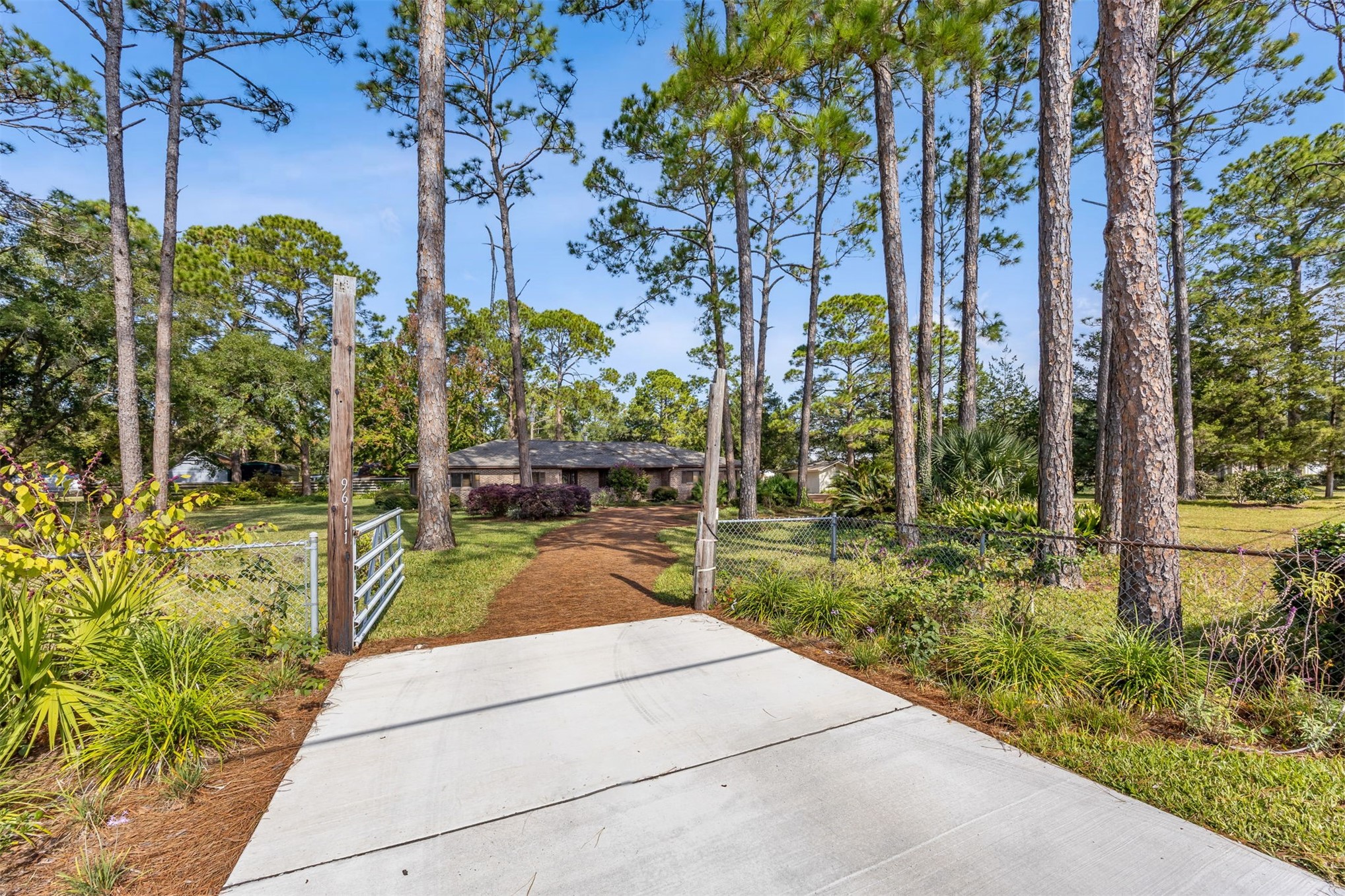 96111 Pirates Bluff Road Yulee, FL 32097 - Photo 49 of 52 a view of a backyard with potted plants and large trees