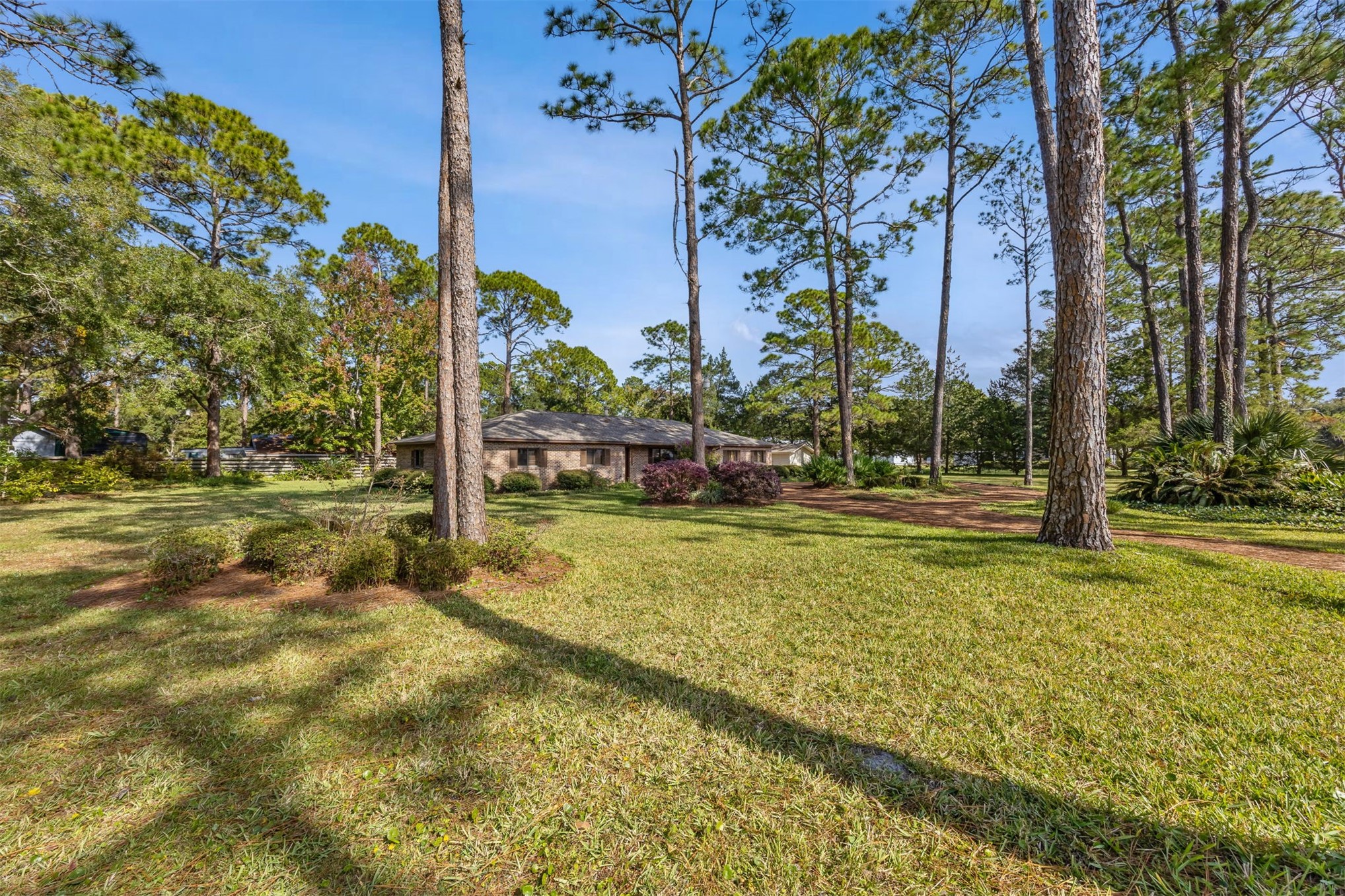 96111 Pirates Bluff Road Yulee, FL 32097 - Photo 50 of 52 a backyard of a house with lots of green space