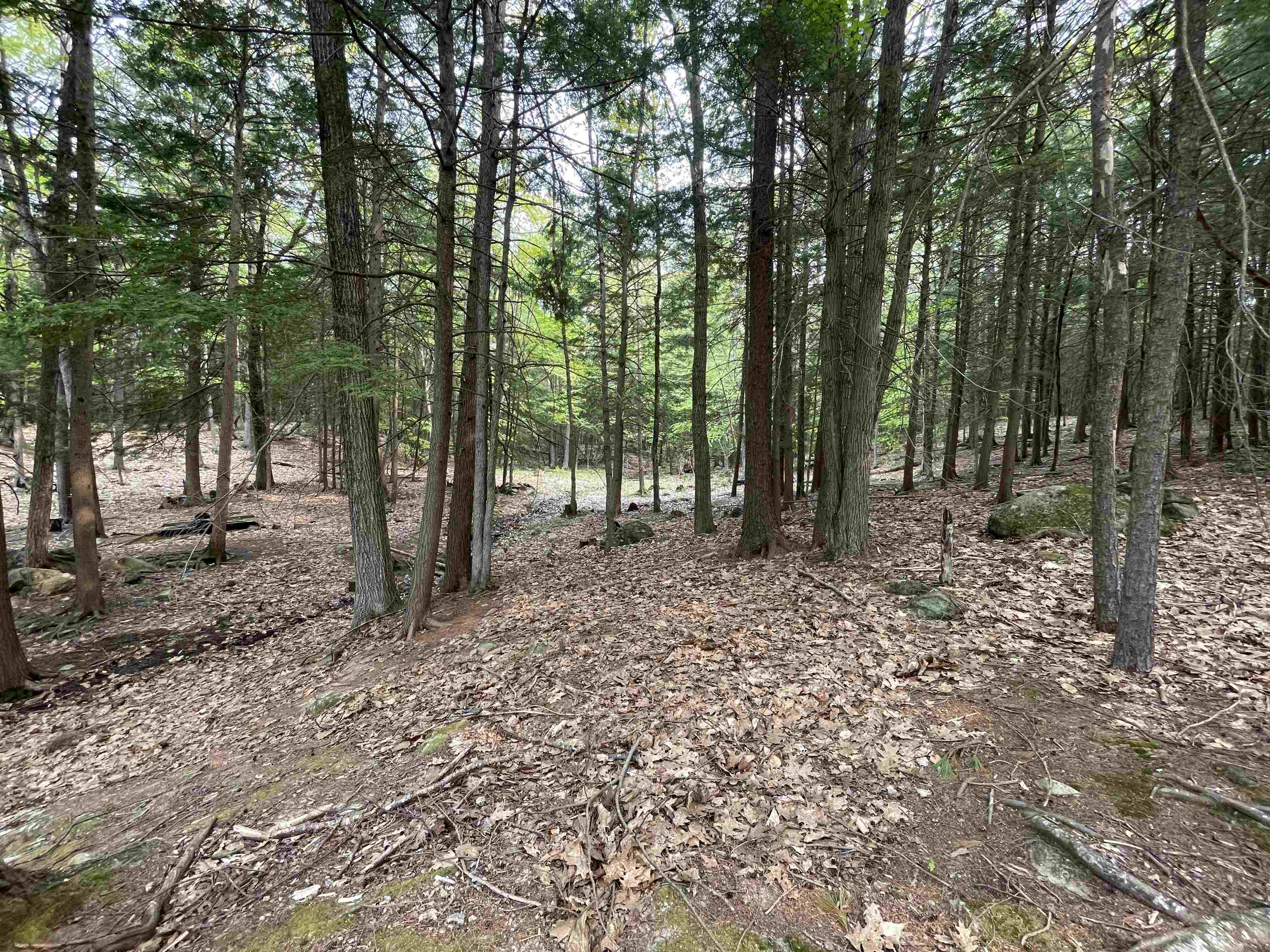 49 Durrell Mountain Road Belmont, NH 03220 - Photo 3 of 14