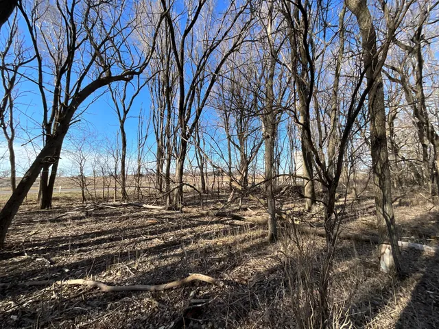 $160,000 | 14 Cottonwood Lake Drive, Windom, MN 56101