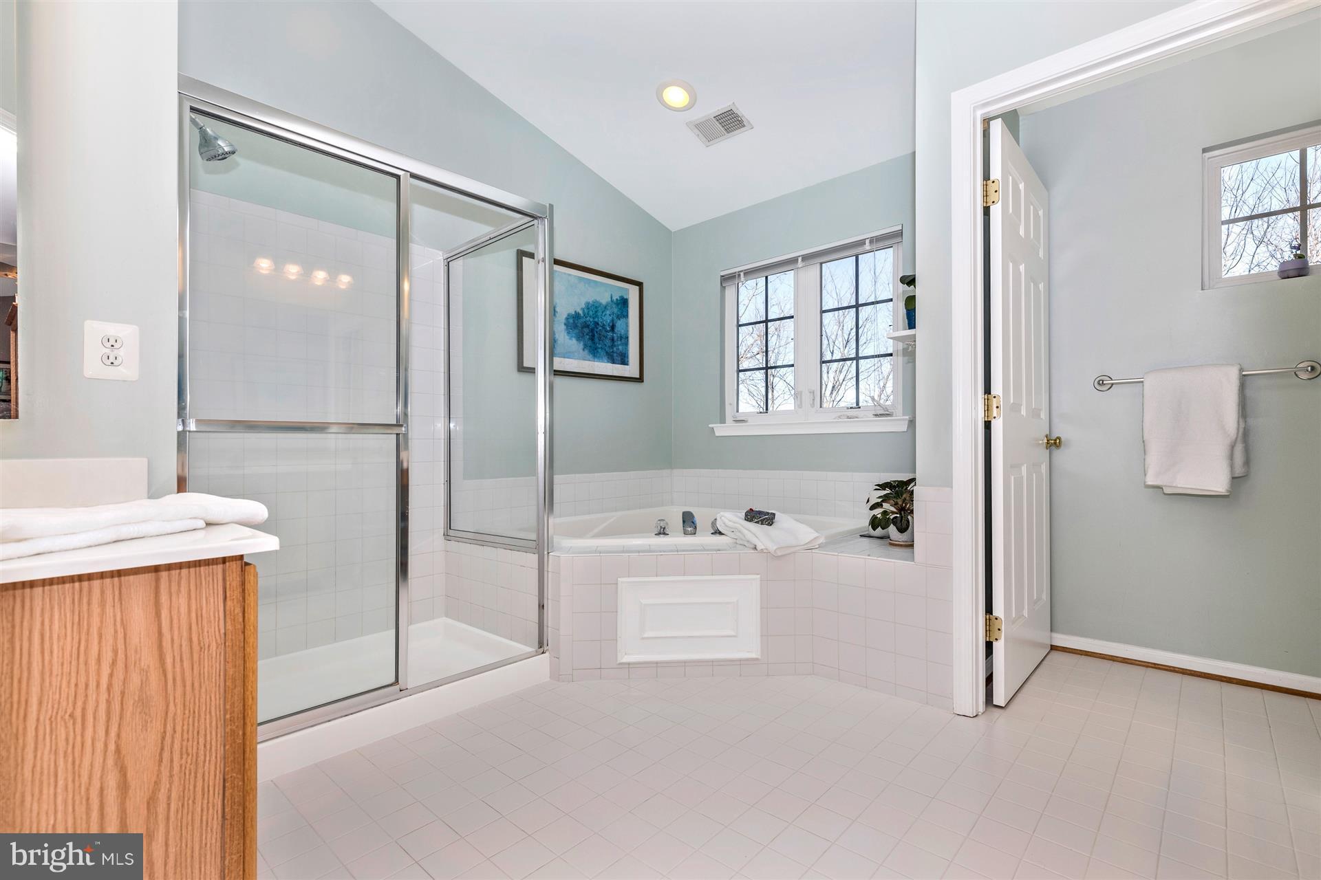 202 North Pointe Terrace Middletown, MD 21769 - Photo 13 of 30 Relax after a long day in your large soaking tub