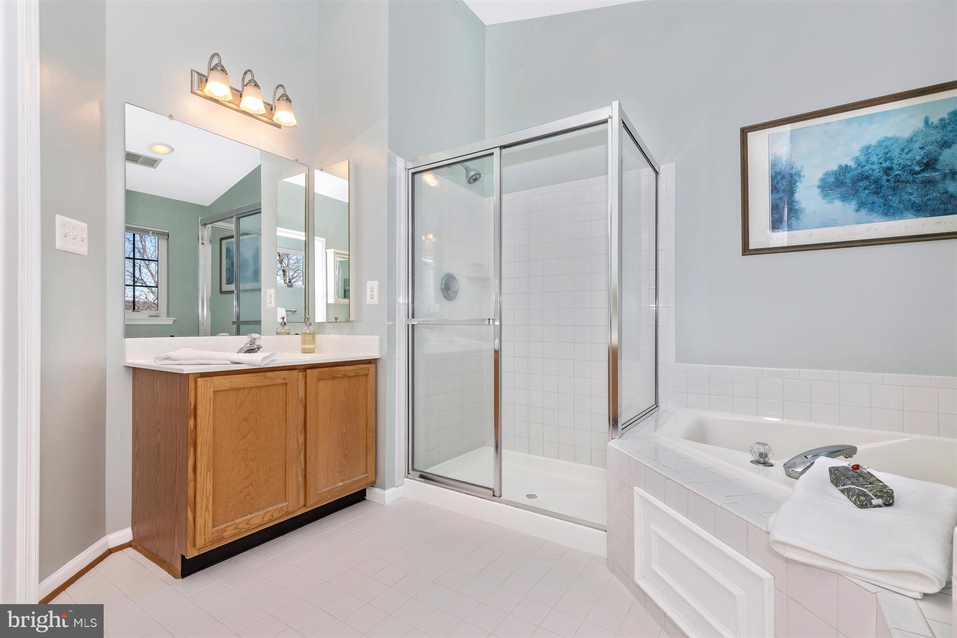 202 North Pointe Terrace Middletown, MD 21769 - Photo 14 of 30 Walk in shower and large vanity