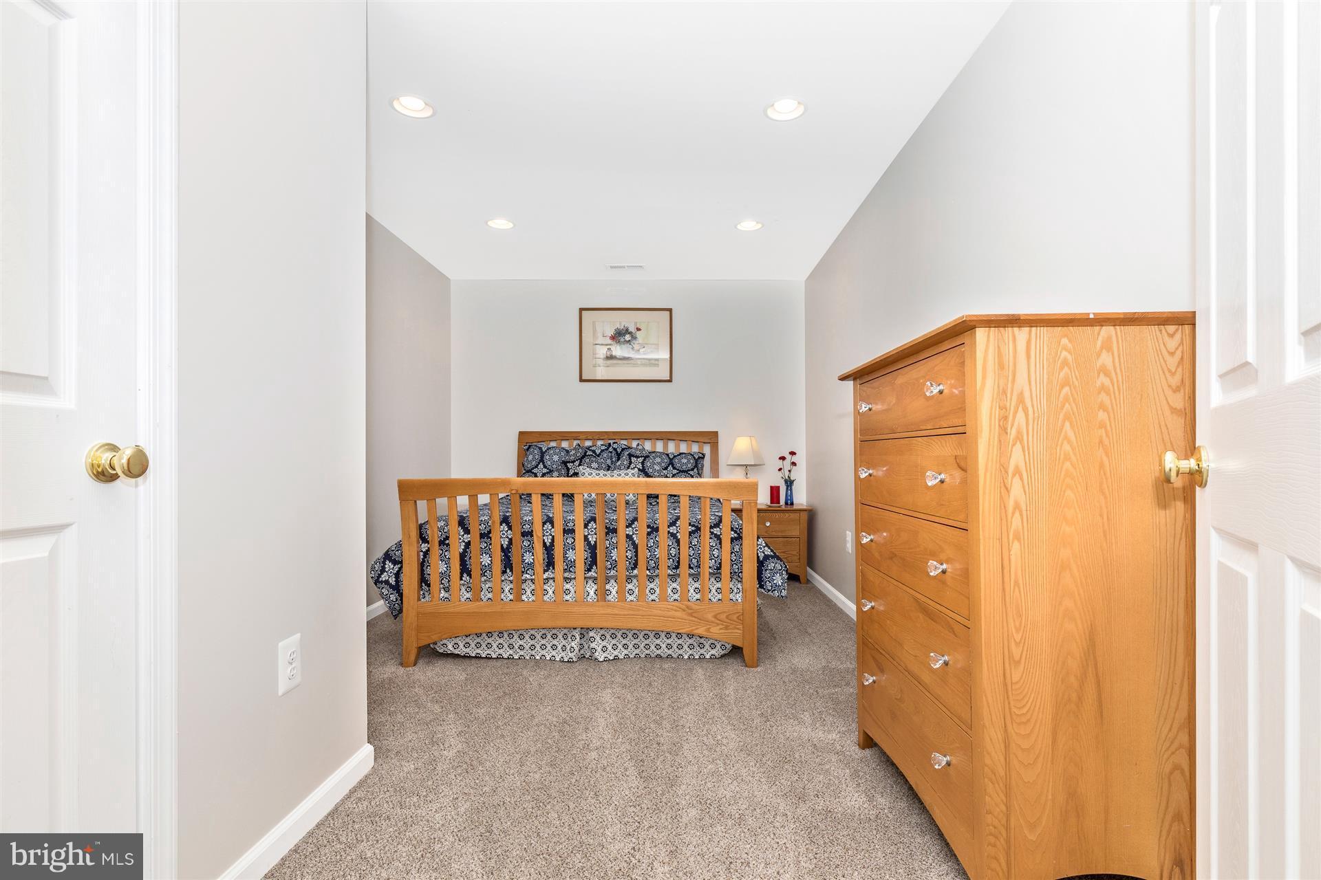 202 North Pointe Terrace Middletown, MD 21769 - Photo 22 of 30 Room in the basement