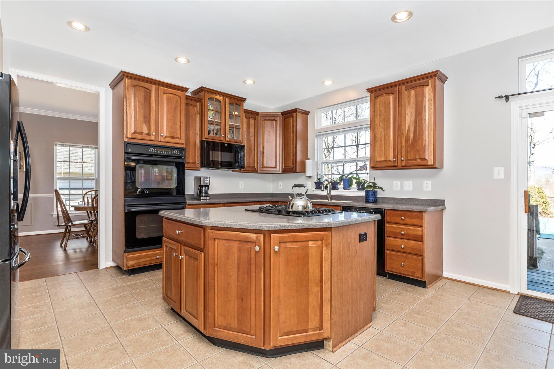 202 North Pointe Terrace Middletown, MD 21769 - Photo 3 of 30 Large kitchen island with ample cabinet storage.