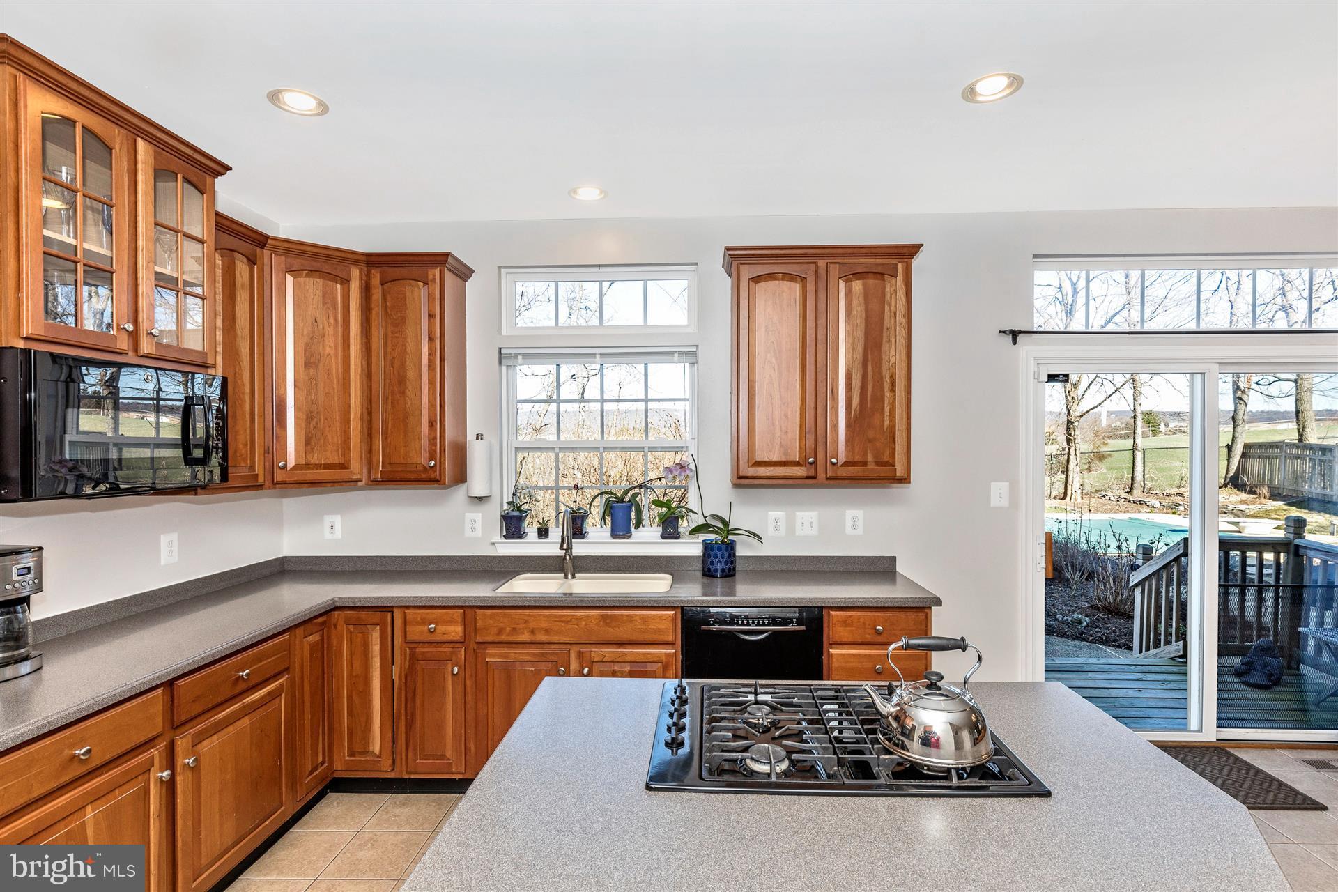 202 North Pointe Terrace Middletown, MD 21769 - Photo 4 of 30 Loads of cabinets with upgraded kitchen appliances