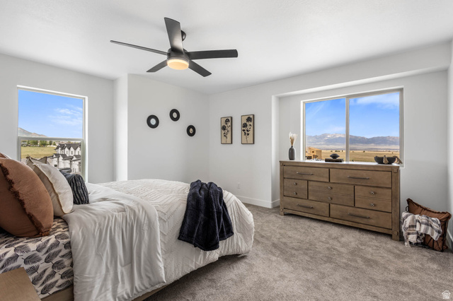 636 West Caroles Way, Unit 7 Tooele, UT 84074 - Photo 22 of 31 Bright room featuring multiple windows, a ceiling fan with integrated lighting, and neutral carpeting