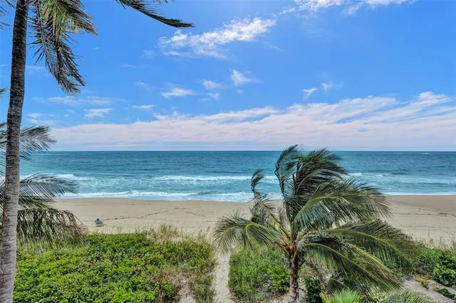 a view of a beach with a palm tree
