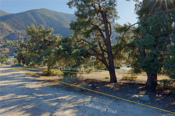 a view of outdoor space with trees