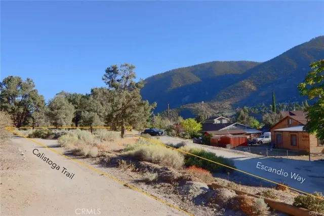 a view of road with large trees