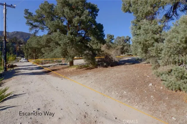 a view of a park with trees