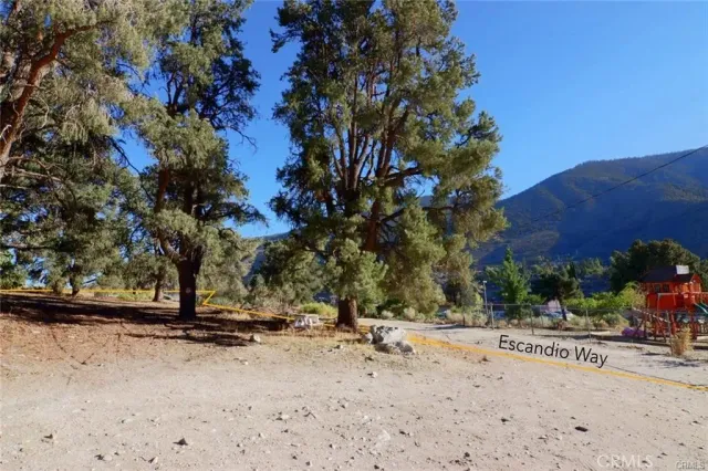 a view of road space with trees