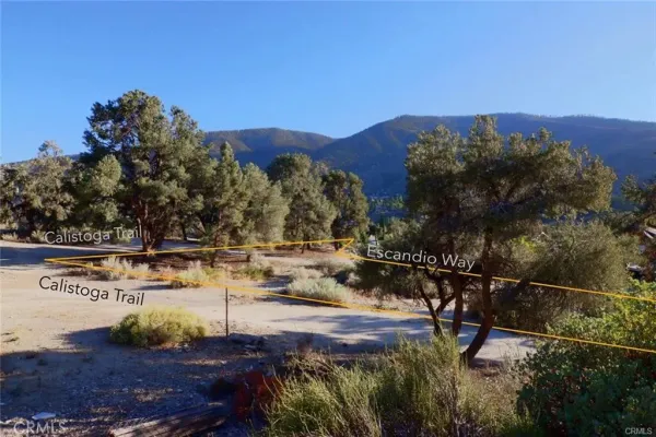 a view of road space with trees