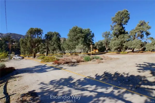 a view of a yard with wooden fence