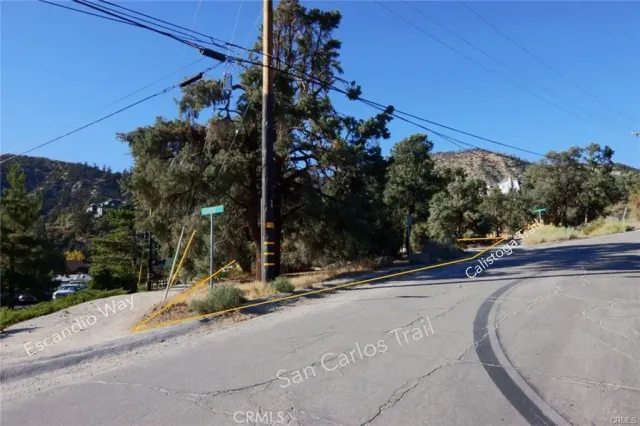 a view of a tree in the middle of a yard