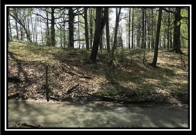 6715 Howard Road Sunbury, OH 43074 - Photo 3 of 14