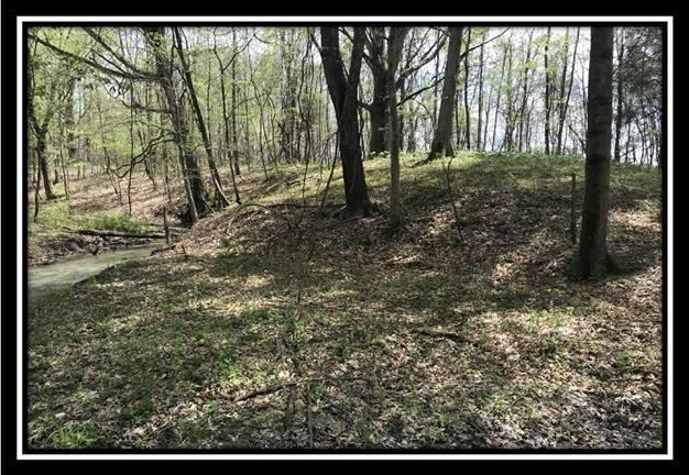 6715 Howard Road Sunbury, OH 43074 - Photo 4 of 14