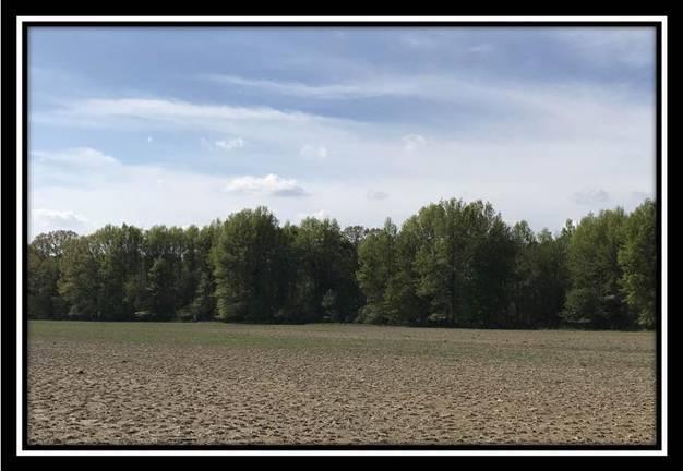 6715 Howard Road Sunbury, OH 43074 - Photo 10 of 14