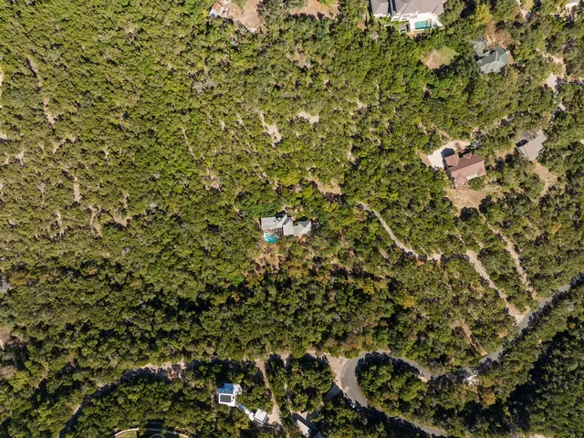 a view of a tree with a street
