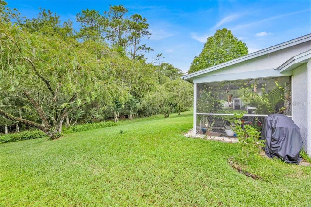 5734 Delano Lane Orlando, FL 32821 - Photo 22 of 28 a view of a chair and table in the garden