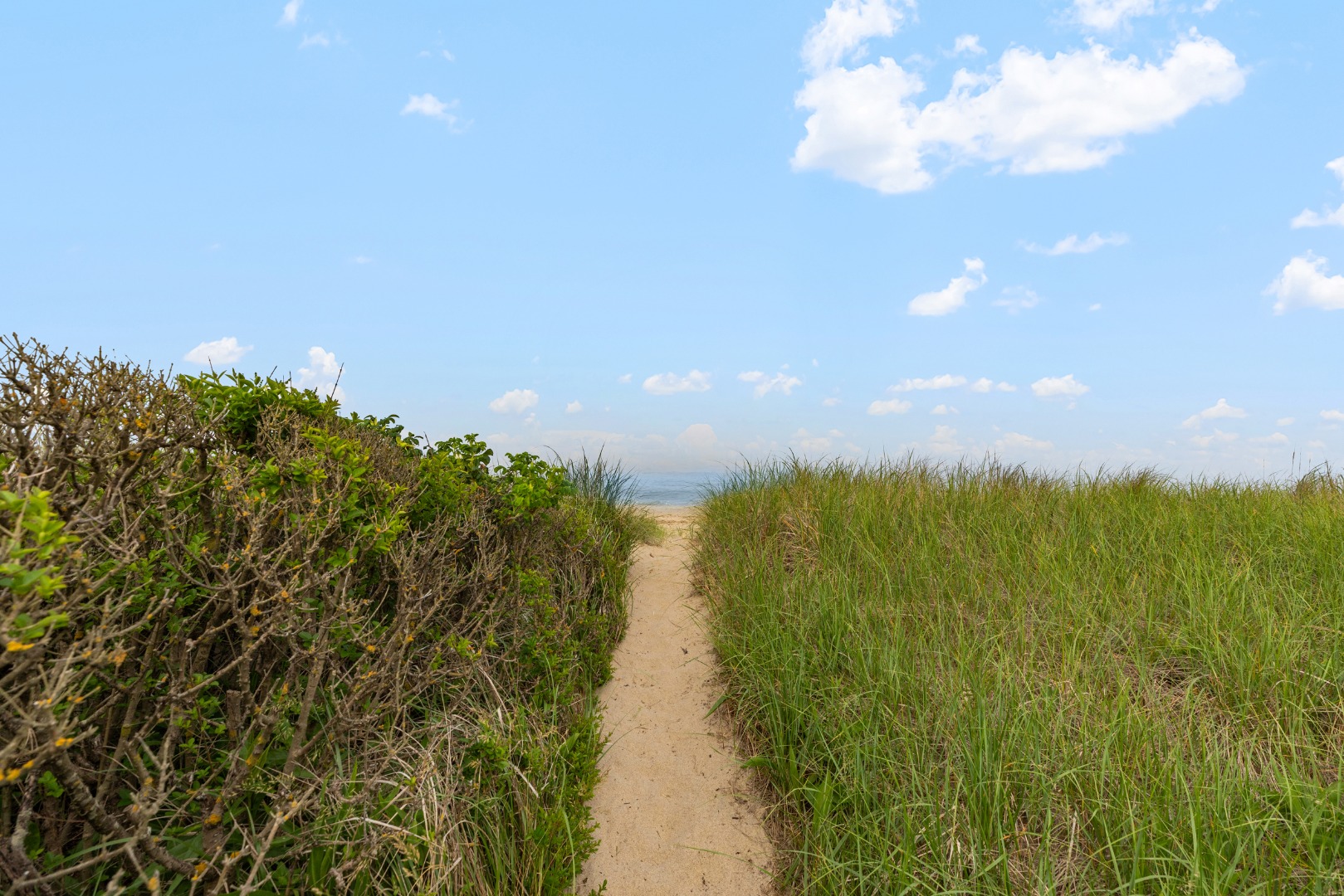 3 North Gully Road Nantucket, MA 02554 - Photo 33 of 43