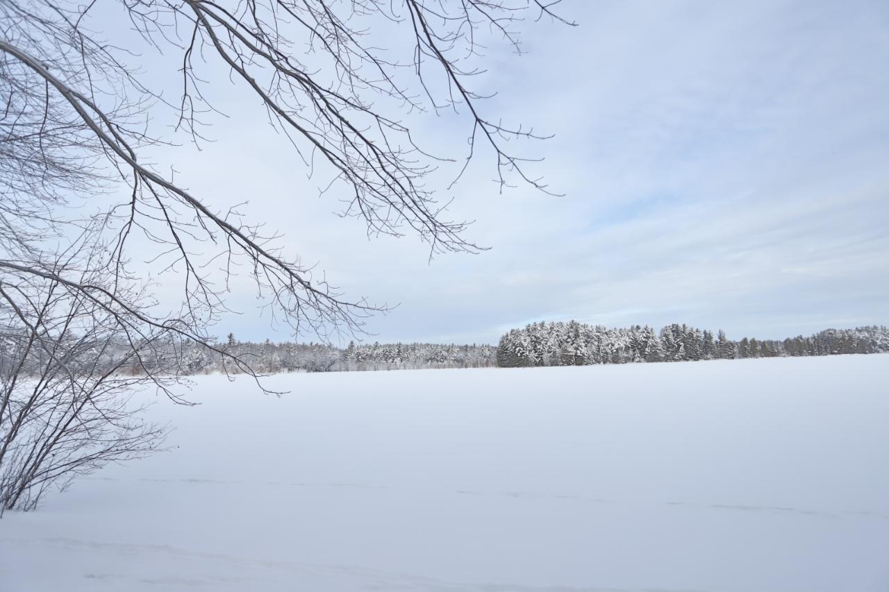 2100 Harmony Lake Road Eagle River, WI 54521 - Photo 8 of 32 Gallery Image 8