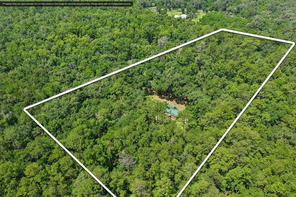 6221 Emerson Road Brooksville, FL 34601 - Photo 17 of 45