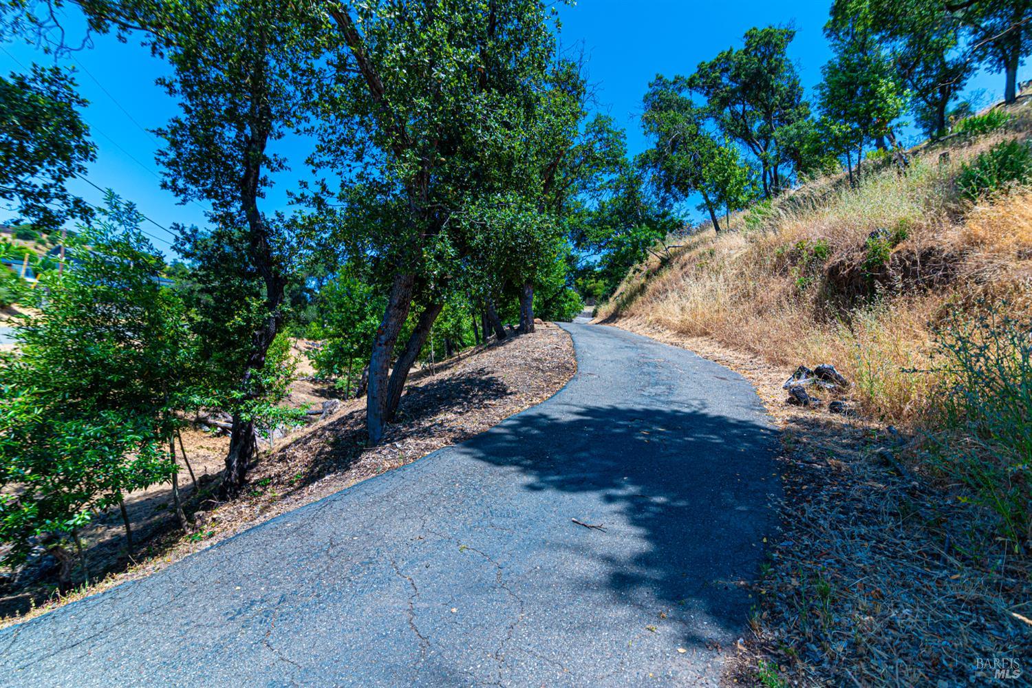 1442 Michele Way Santa Rosa, CA 95404 - Photo 1 of 1 a view of a yard with plants and trees