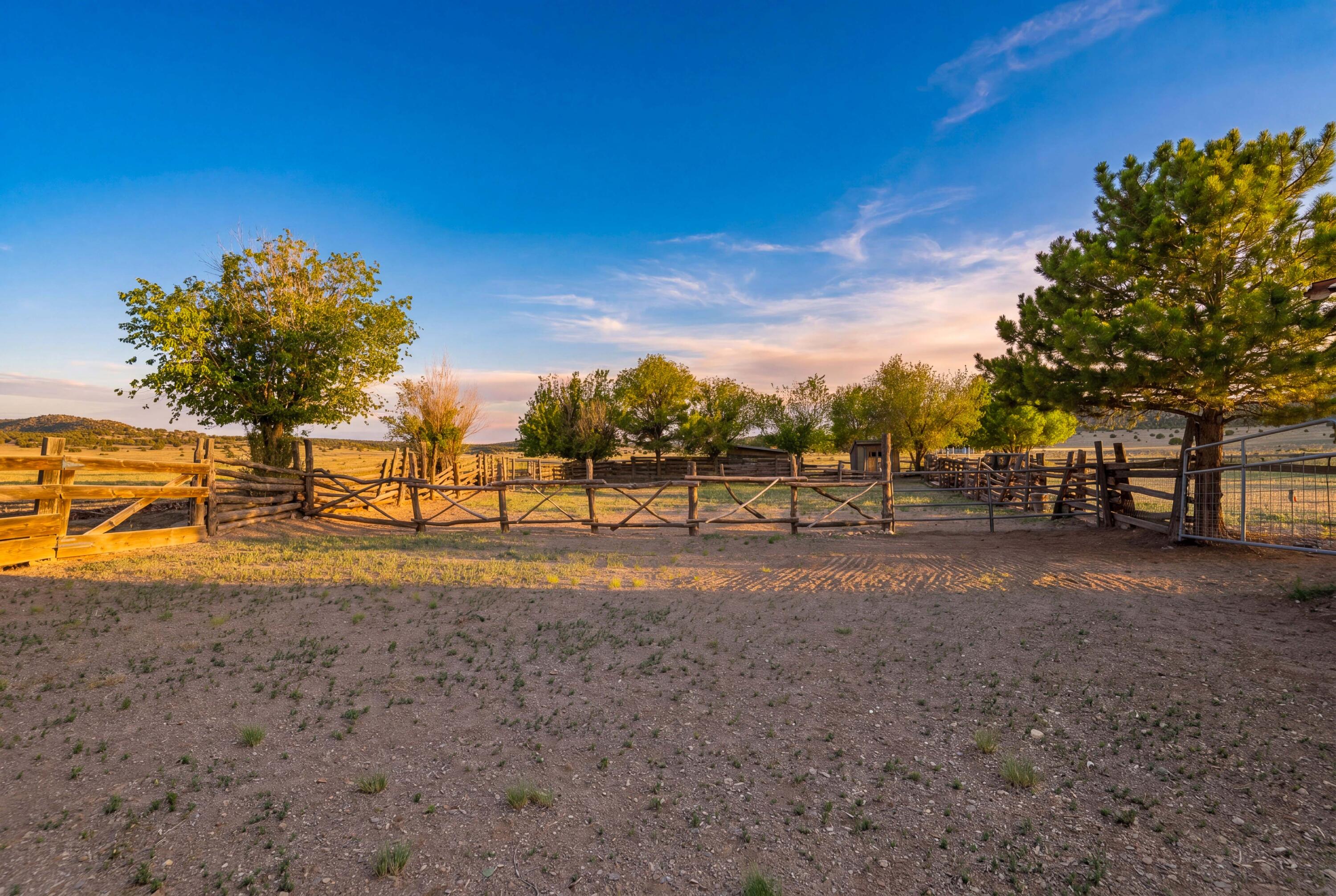 116 Thomas Ranch Road Datil, NM 87821 - Photo 38 of 45 Gallery Image 38