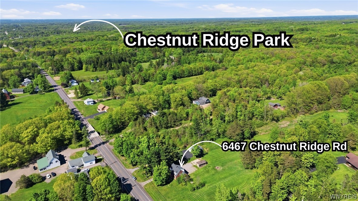 6467 Chestnut Ridge Road Orchard Park, NY 14127 - Photo 28 of 45