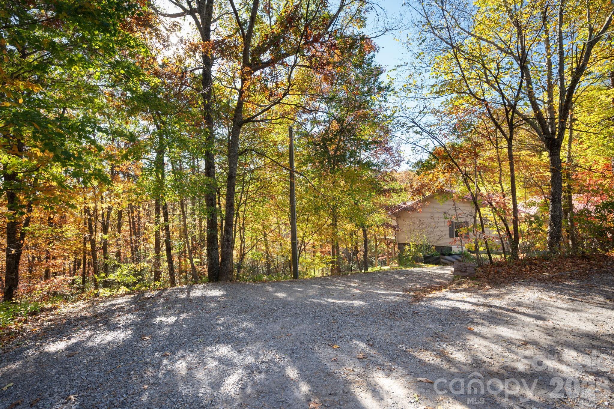 22 Faholoa Ridge Road Black Mountain, NC 28711 - Photo 39 of 47 a view of road and trees