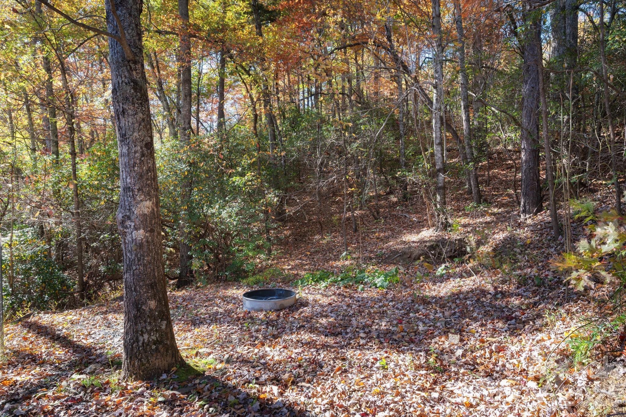 22 Faholoa Ridge Road Black Mountain, NC 28711 - Photo 47 of 47 a view of an outdoor space