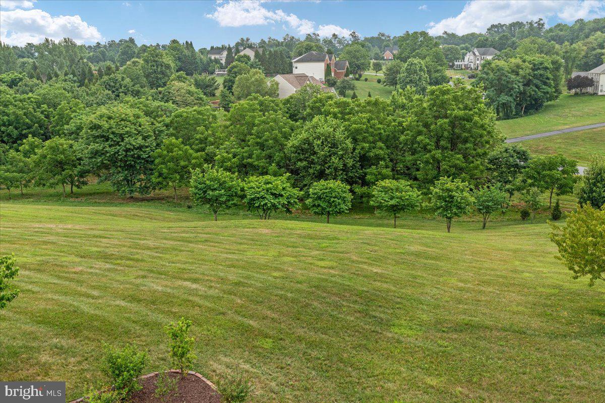 38786 Rambling Farm Drive Hamilton, VA 20158 - Photo 74 of 97