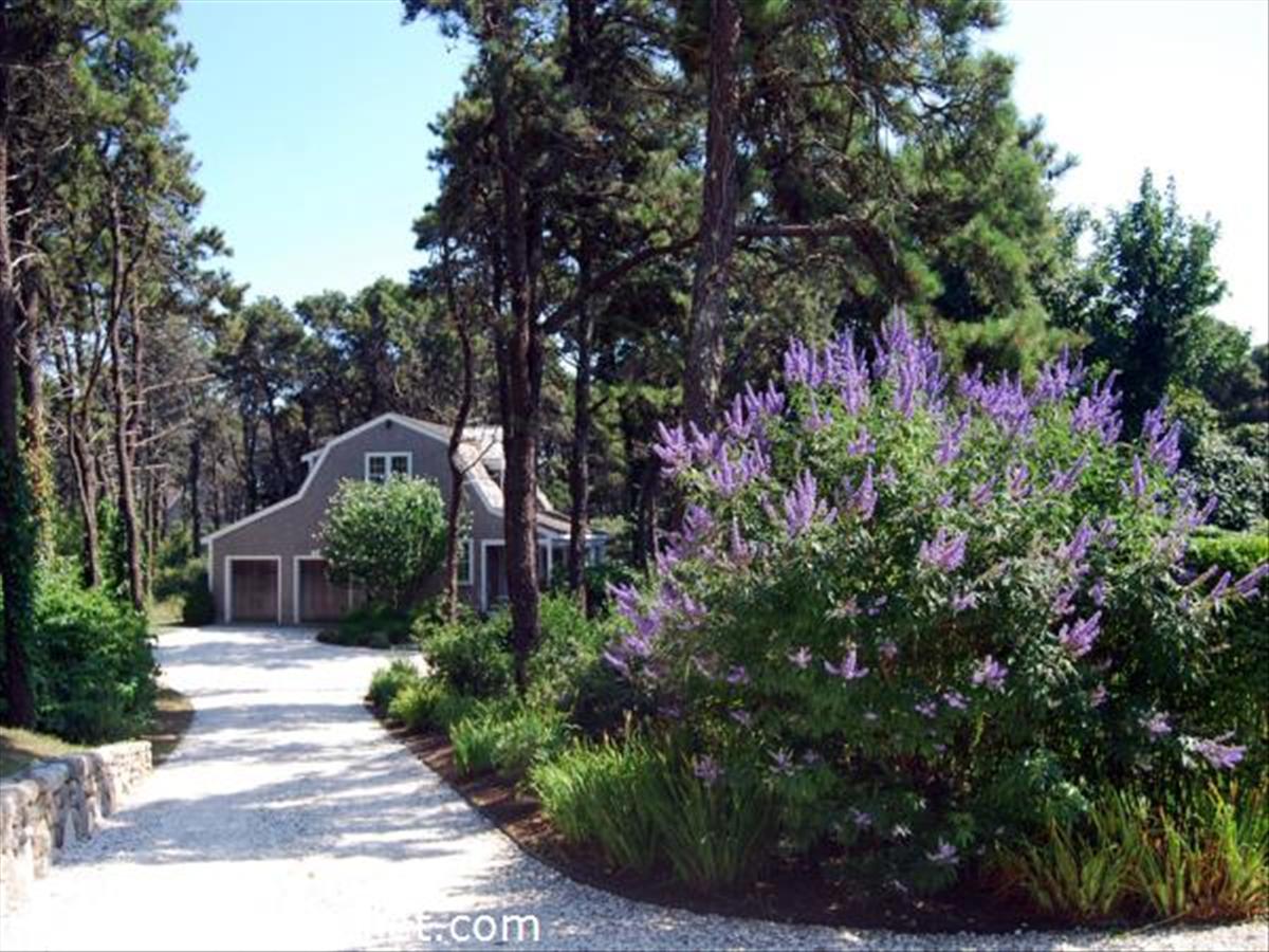 47 Brewster Road Nantucket, MA 02554 - Photo 3 of 13 Gallery Image 3
