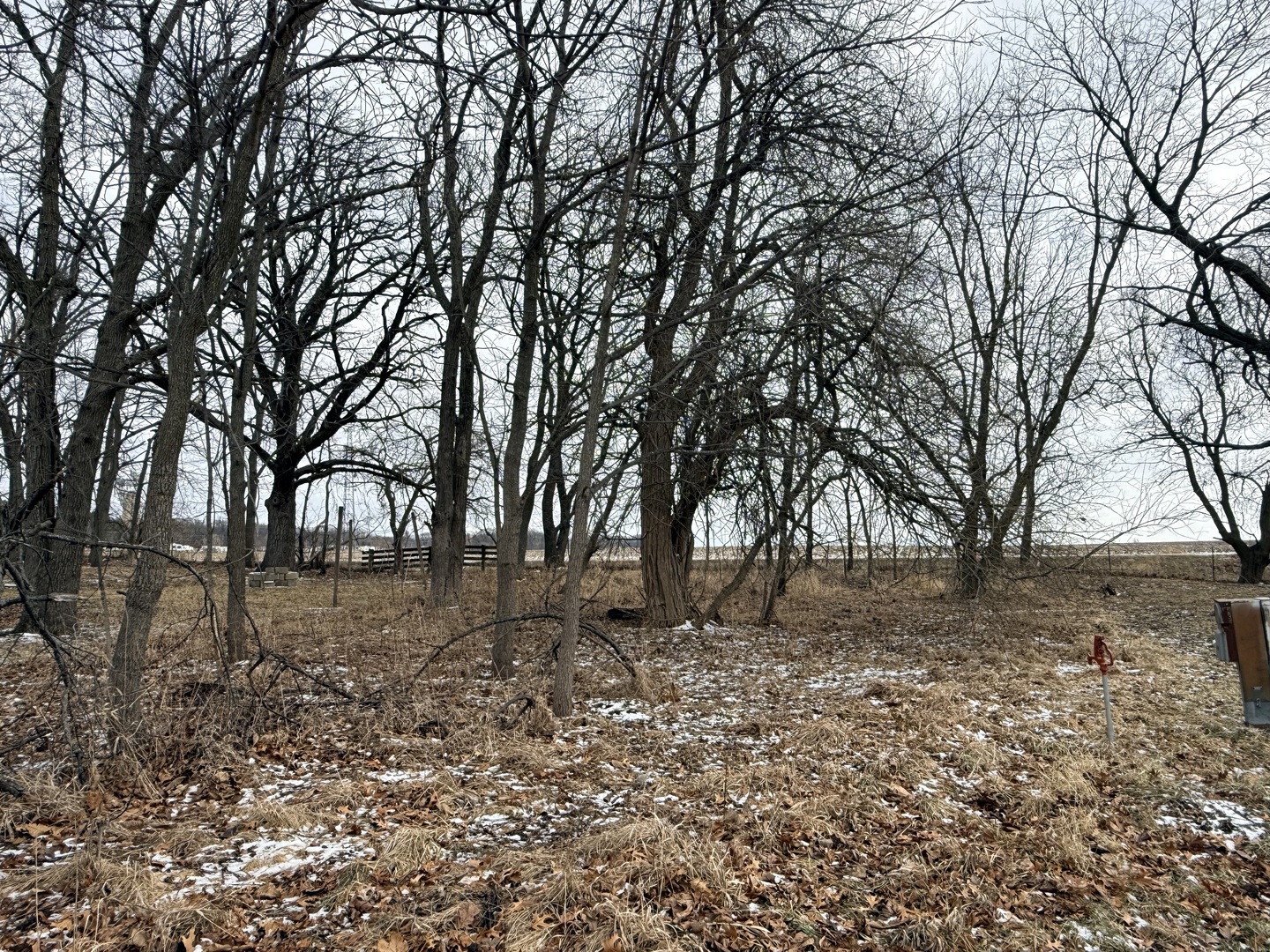 11-45 Woodhaven Lakes Sublette, IL 61367 - Photo 2 of 3