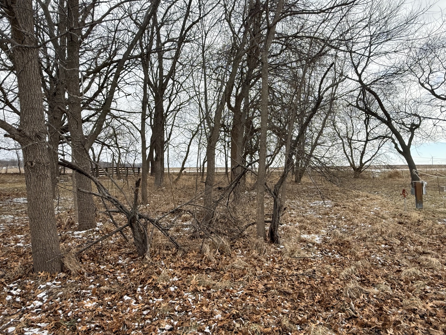 11-45 Woodhaven Lakes Sublette, IL 61367 - Photo 3 of 3