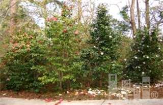 4423 Cascade Road Wilmington, NC 28409 - Photo 9 of 9 Additional Photo